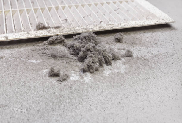 Best Professional Duct Cleaning Services  in Whitehouse, OH