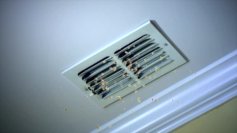 Best Air Duct Inspection  in Whitehouse, OH