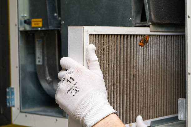 Best Air Duct Cleaning Near Me  in Whitehouse, OH