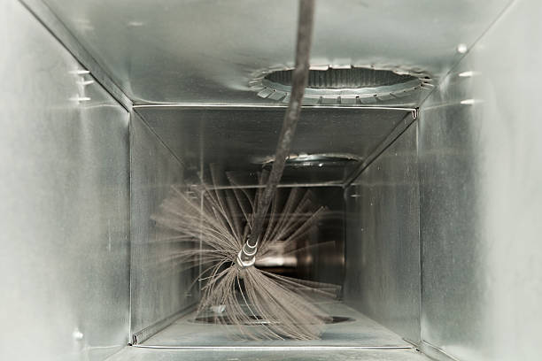 Best Affordable Duct Cleaning Services  in Whitehouse, OH